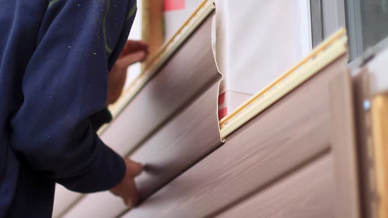 Best Moving and Downsizing Cleanouts  in Pevely, MO